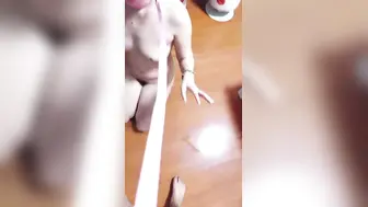 台湾小婊妹被大哥调教成性爱的小母狗【下篇】全程露脸口交大鸡巴舔菊花舔脚，跪地爬行让大哥多体位蹂躏抽插呻吟
