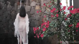 晨钟暮鼓3