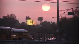 樱空桃桃观看更多视频