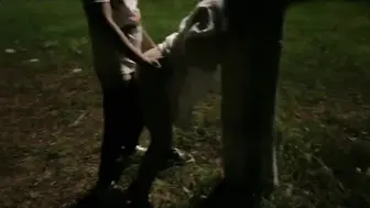 绿帽 和大屌单男玩操性瘾淫妻