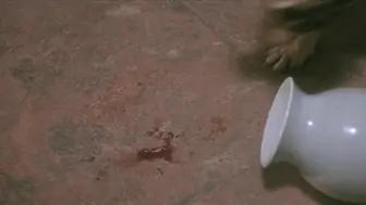 玉蒲团之偷情宝鉴（1991）