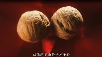 玉蒲团之官人我要 中文字幕版