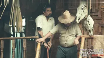 赛琳娜的黄金 中字版