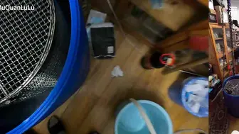 满月之夜 20 水桶封装2