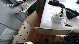 满月之夜 21 装箱