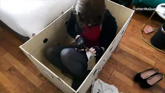 满月之夜 21 装箱