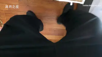 满月之夜 21 装箱
