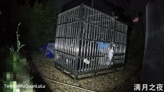 满月之夜09