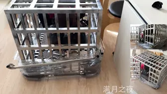 满月之夜水笼
