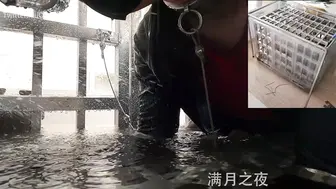 满月之夜水笼