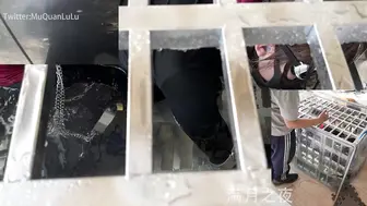 满月之夜水笼